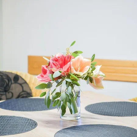 4-sterne-ferienwohnung Kille 公寓